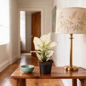 Aglaonema Super White