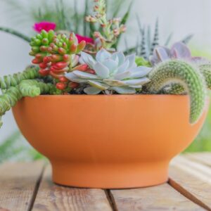 Doniczka gliniana TERAKOTA – niska misa Ø 22 cm