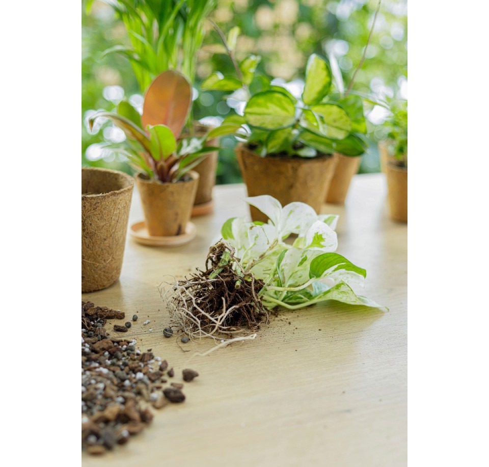 Doniczka z włókna kokosowego COCO NATURE – wkład do osłonki