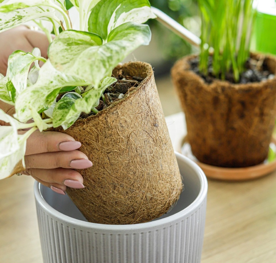 Doniczka z włókna kokosowego COCO NATURE – wkład do osłonki