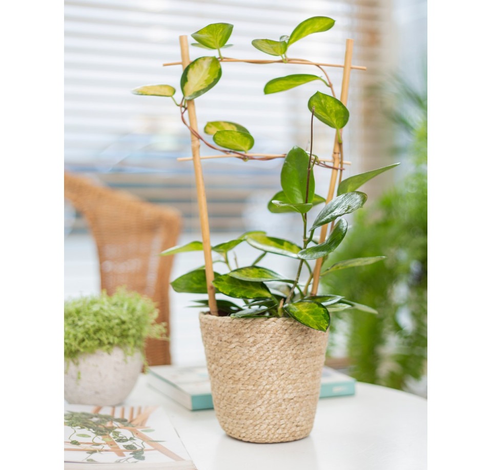 Koszyk z trawy morskiej BOHO Ø 13 cm