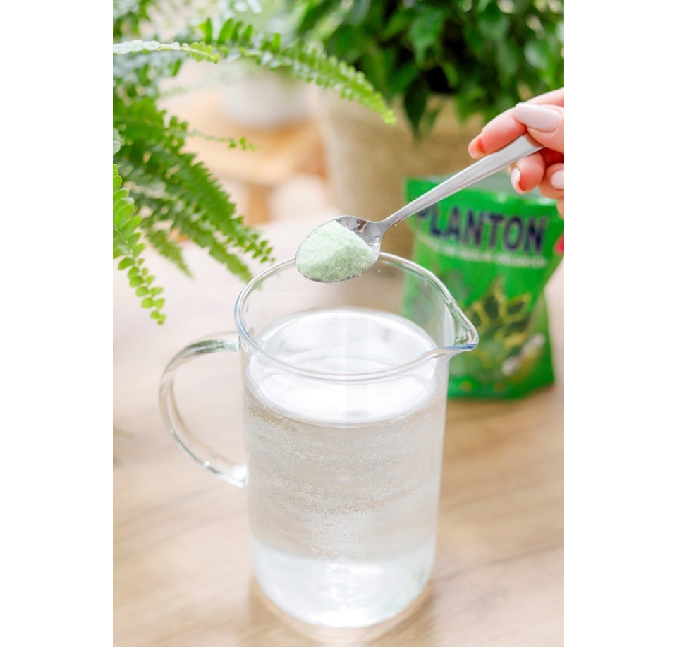 Nawóz mineralny PLANTON Z do roślin zielonych