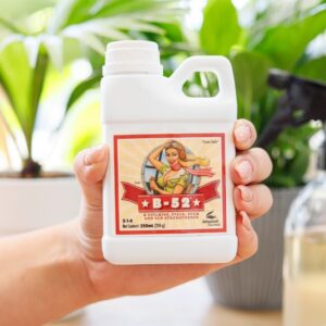 Odżywka witaminowa B-52 Advanced Nutrients