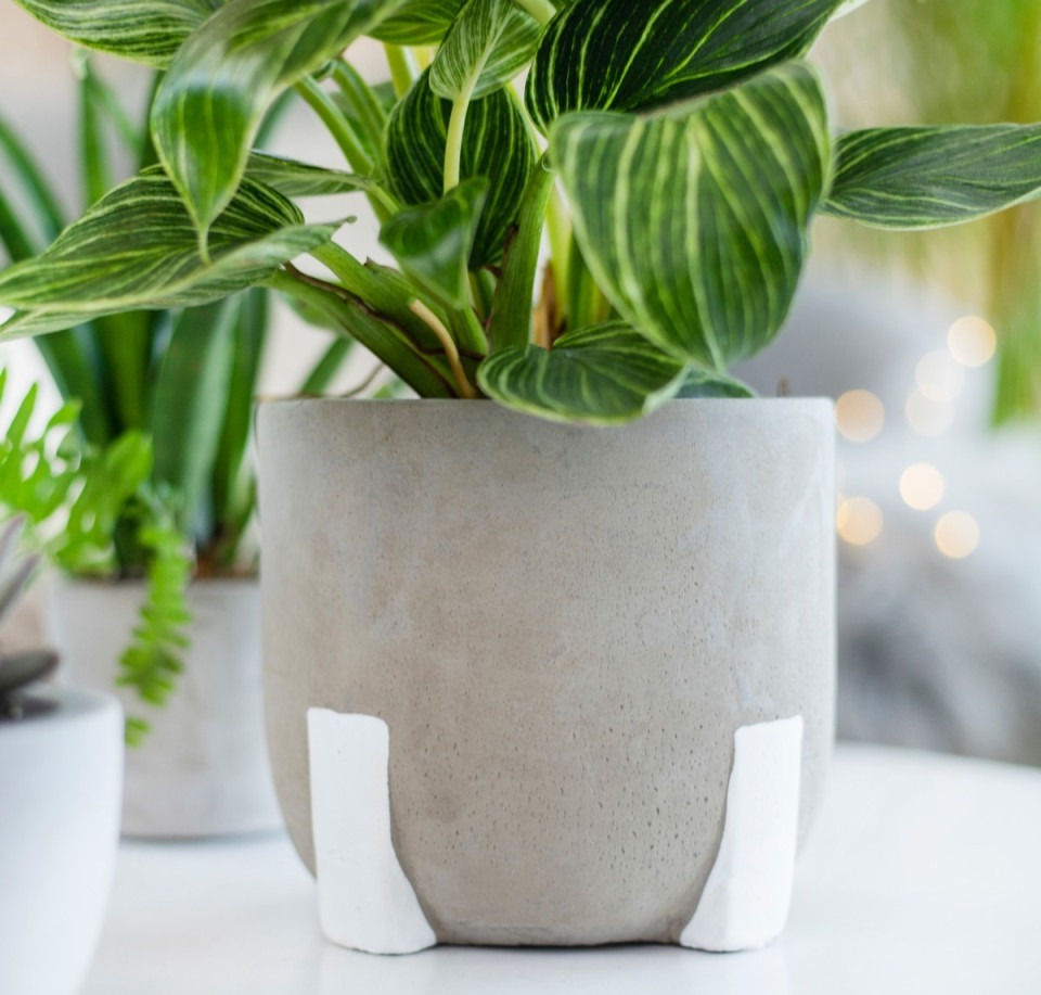 Osłonka betonowa BETON na białych nóżkach — 8 cm