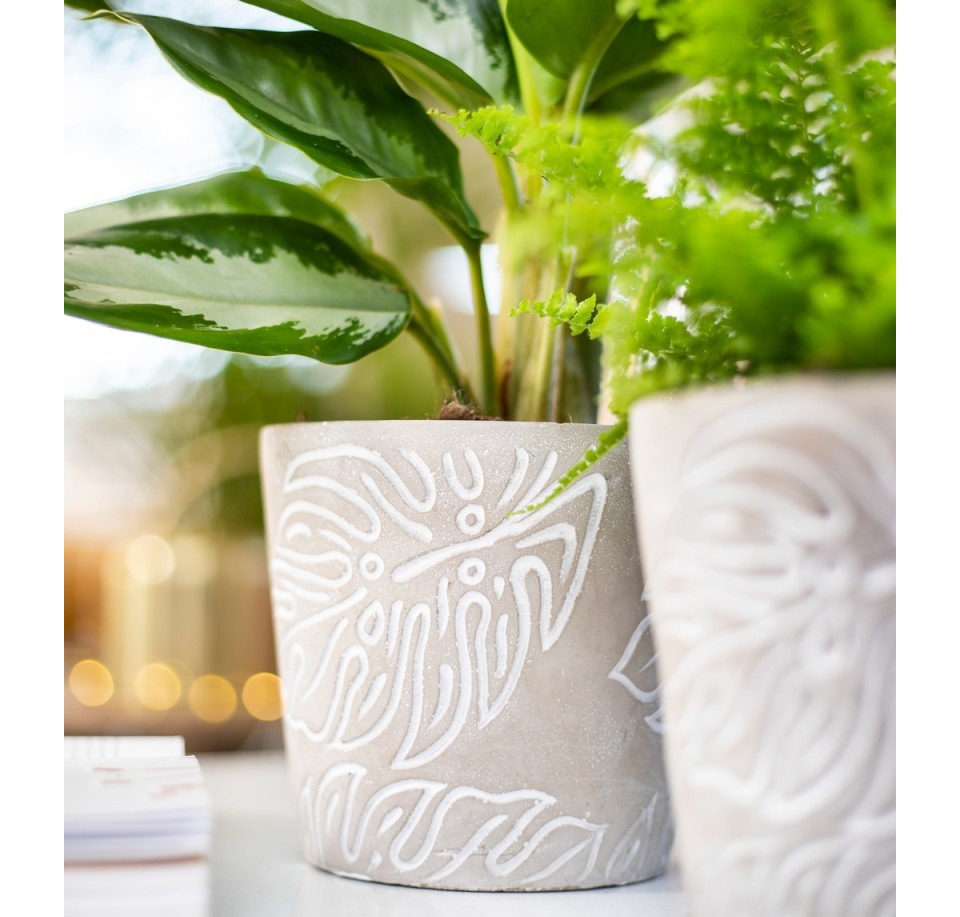 Osłonka betonowa MONSTERA szara z liściem monstery