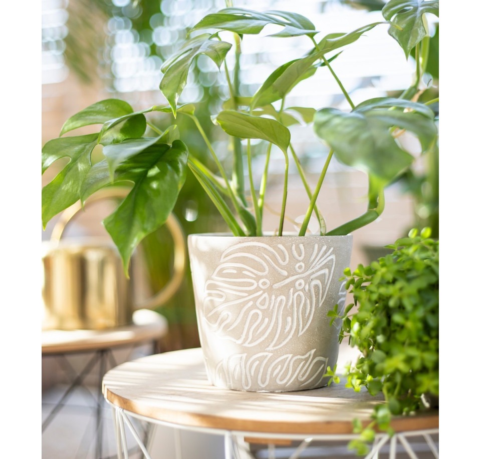 Osłonka betonowa MONSTERA szara z liściem monstery