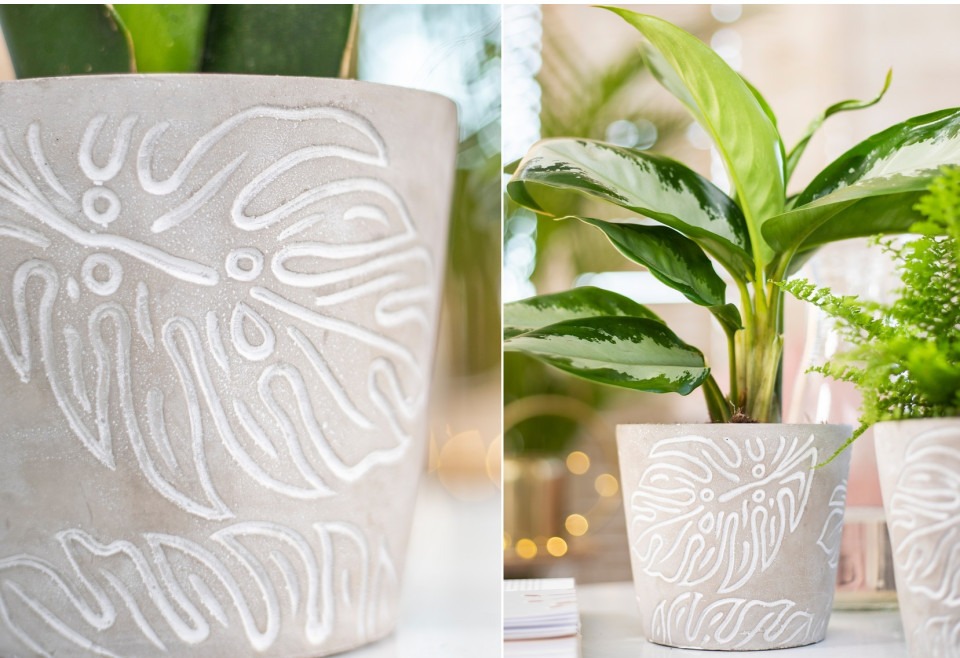 Osłonka betonowa MONSTERA szara z liściem monstery