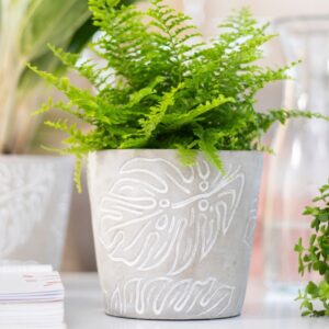 Osłonka betonowa MONSTERA szara z liściem monstery