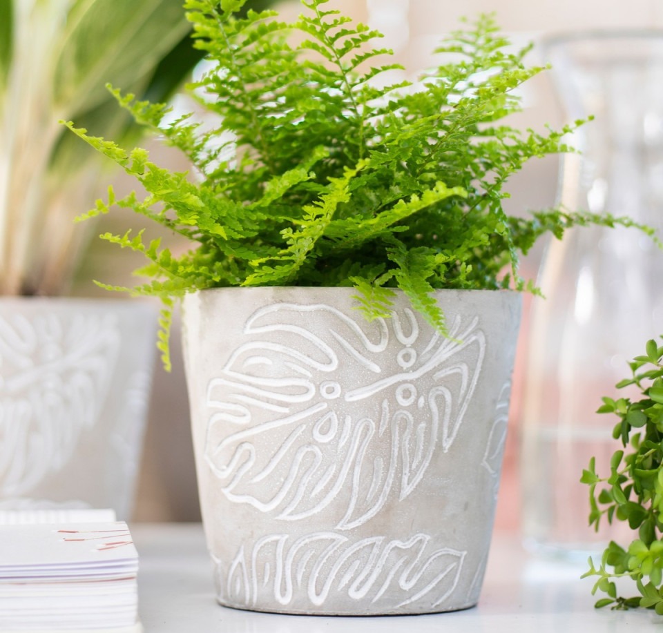 Osłonka betonowa MONSTERA szara z liściem monstery