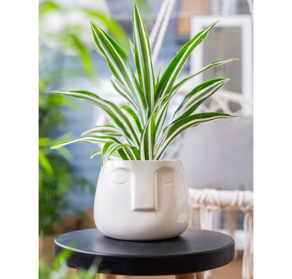 Osłonka ceramiczna w kształcie buźki, biała Ø 17 cm