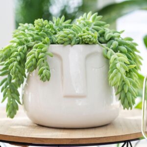 Osłonka ceramiczna w kształcie buźki, biała Ø 17 cm