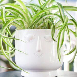Osłonka ceramiczna BUŹKA – głowa z uroczą twarzą