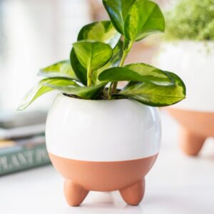 Osłonka ceramiczna HOPLA rounded na nóżkach
