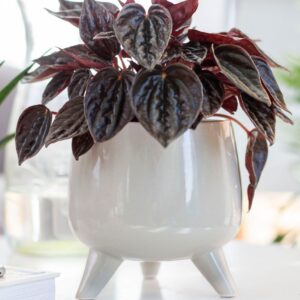 Osłonka ceramiczna PURE na nóżkach
