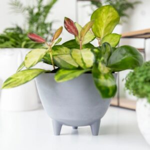 Osłonka plastikowa HOMELY GRAY na nóżkach