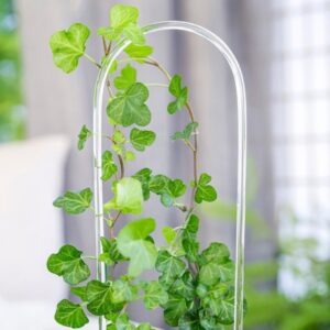 Podpora do roślin pnących – przezroczysty łuk akrylowy 35 cm