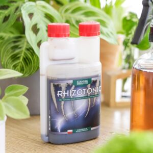 Rhizotonic stymulator wzrostu korzeni