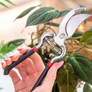 Sekator do przycinania roślin domowych 20 cm
