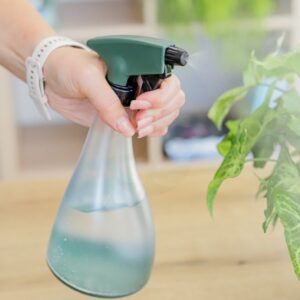 Spryskiwacz do roślin Drosty 0,7 l – przezroczysty