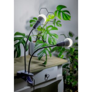 Żarówka LED 6500K Full Spectrum do doświetlania roślin